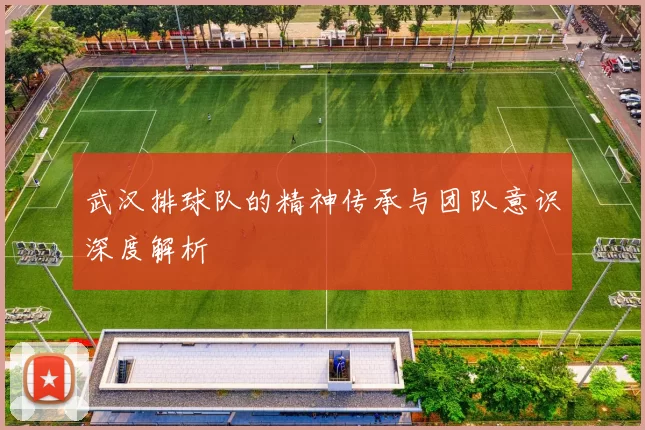 武汉排球队的精神传承与团队意识深度解析