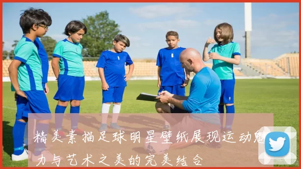 精美素描足球明星壁纸展现运动魅力与艺术之美的完美结合