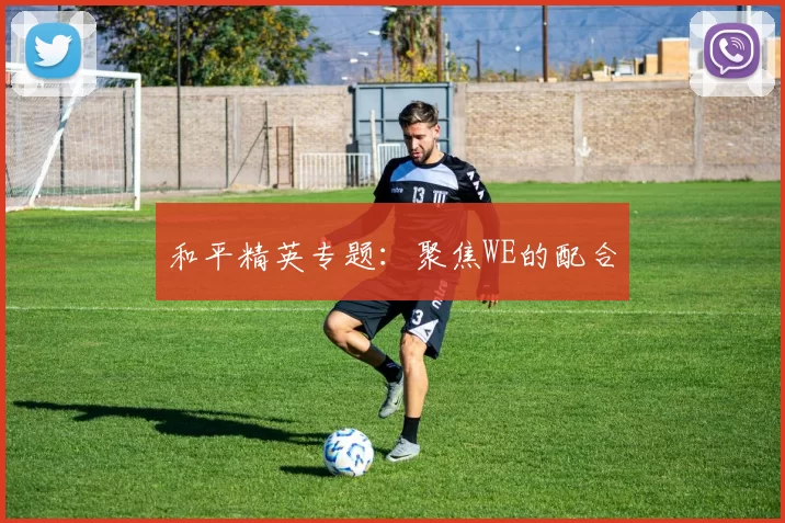 和平精英专题：聚焦WE的配合