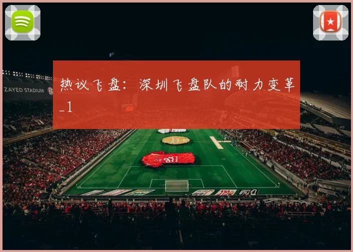 热议飞盘：深圳飞盘队的耐力变革_1