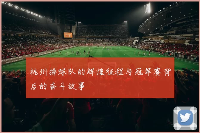 杭州排球队的辉煌征程与冠军赛背后的奋斗故事