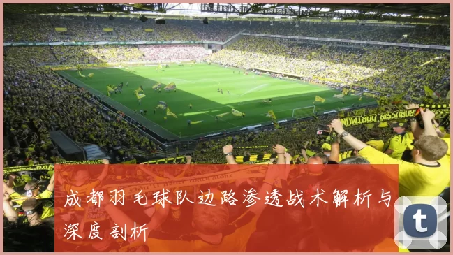 成都羽毛球队边路渗透战术解析与深度剖析