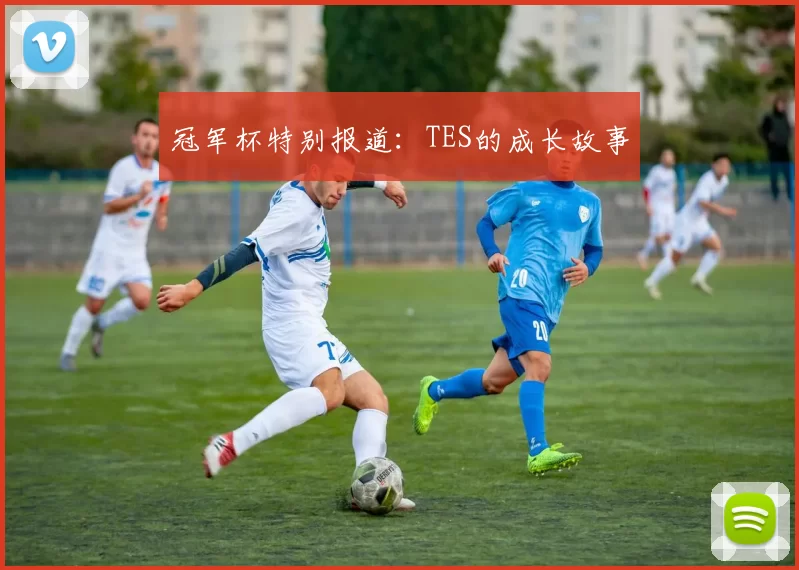 冠军杯特别报道：TES的成长故事