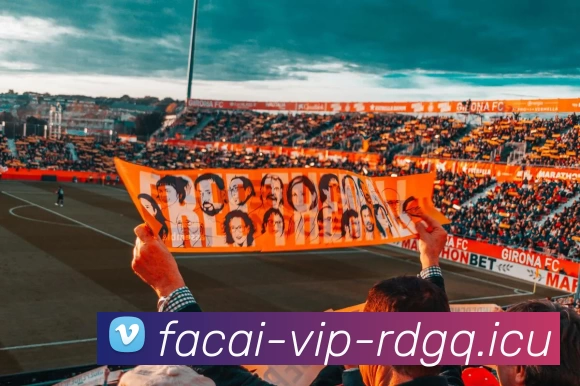 MK体育平台生态图