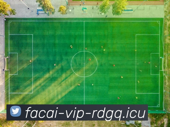 MK体育APP 封面图